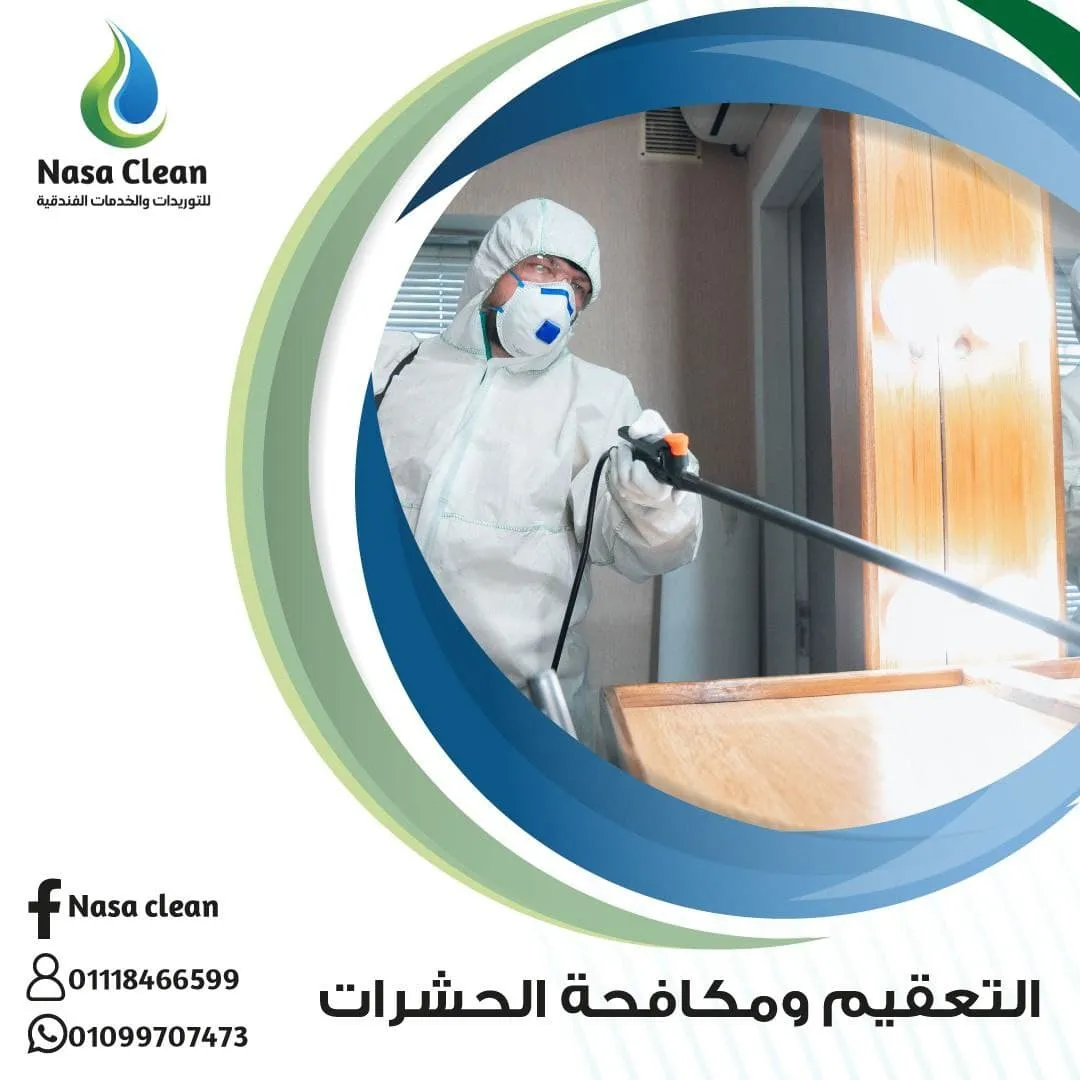 افضل شركة مكافحة حشرات القاهرة ومكافحة القوارض والفئران