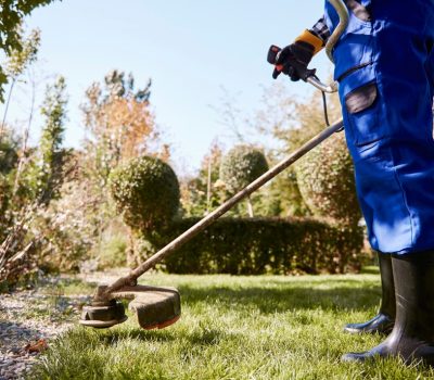 شركة تنظيف الحدائق
