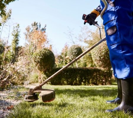 شركة تنظيف الحدائق