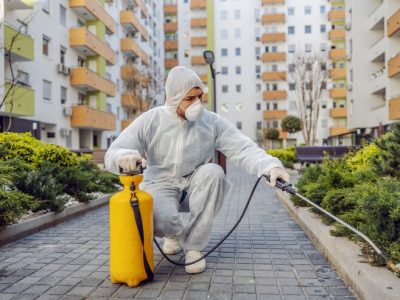 مكافحة الحشرات والقوارض والزواحف